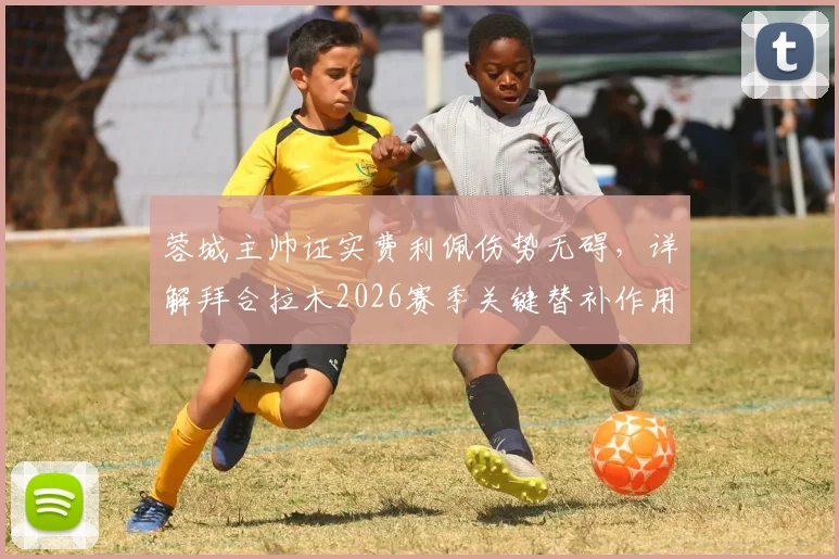 蓉城主帅证实费利佩伤势无碍，详解拜合拉木2026赛季关键替补作用与球队战术价值