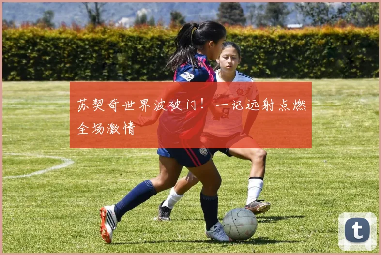 苏契奇世界波破门！一记远射点燃全场激情
